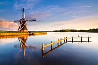 Der Reiher und die Helferin