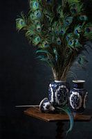 Pauw, pauw, ik ben mooier dan jou