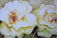 Champ de roses jaune tendre