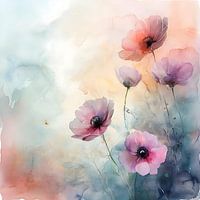 Rosa Mohnblumen - rosa Mohnblumen nr2