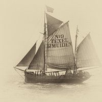 Coupeur pilote numéro 9 IJmuiden Texel