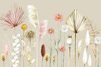 Getrocknete Blumen Pampasgräser