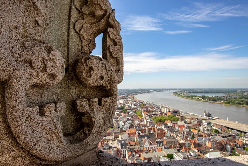 Blick von der Kathedrale von Antwerpen: Schelde von Martijn
