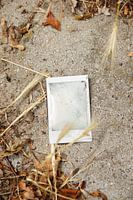 Polaroidbild im Sand (was war auf dem Bild?)