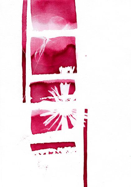 Blocs de fleurs roses par Lies Praet