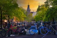 Ein Sommertag entlang der Amsterdamer Grachten, erfüllt von Wärme und Charme.