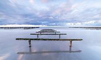 Mussel beds in the Opal Coast, Normandy, France