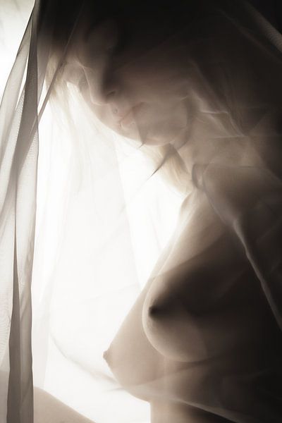 Female beauty 2 von Peter Mantel