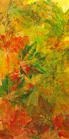 Maple leaves triptych part one