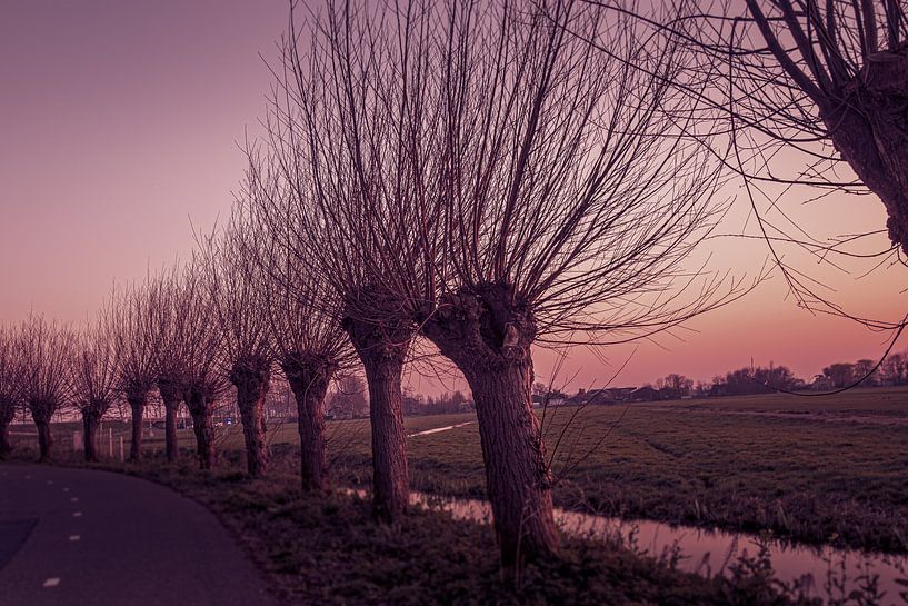 Polder landscape at sunset by Lima Fotografie