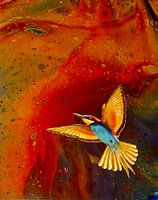 Bee-eater at the Kaiserstuhl