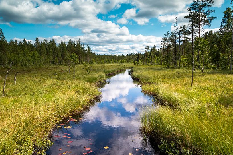 Beautiful river in Sweden province Dalarna by Henk Hulshof