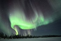 Tanzende Nordlichter