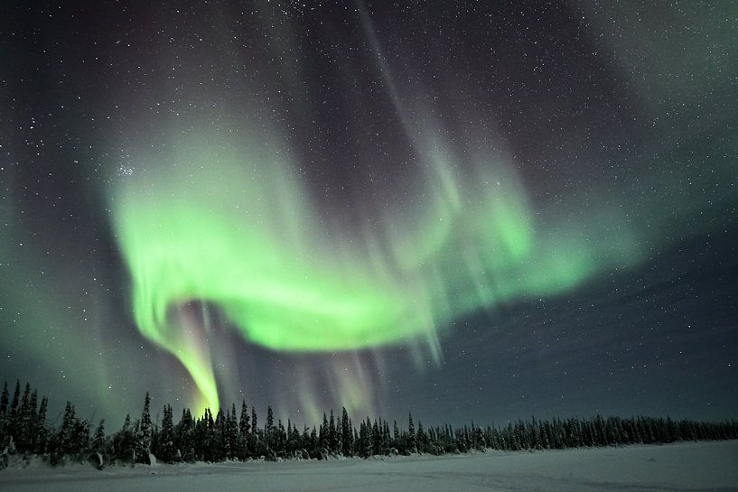 Dancing northern lights by Ann Cools