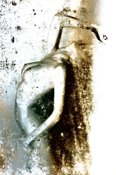 ZORN von Falko Follert