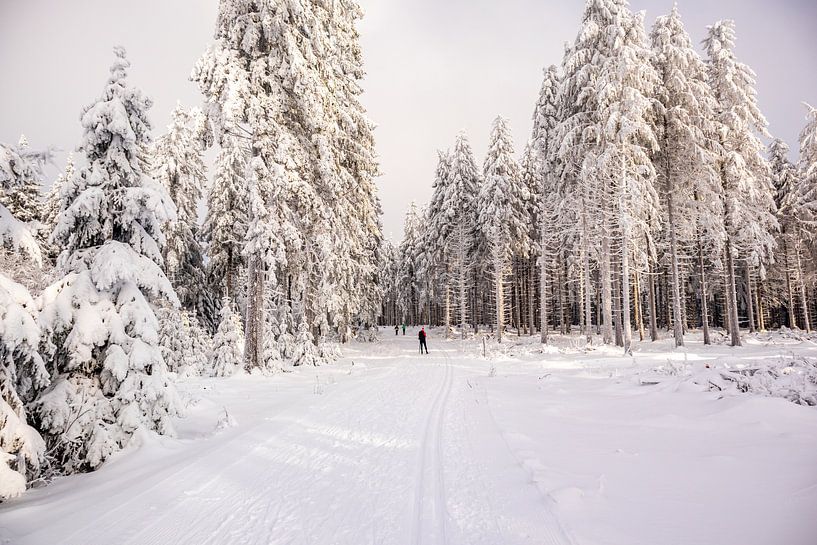 Tour de ski de fond par un temps impérial dans la forêt enneigée de Thuringe près de Floh-Seligenthal - Thuringe - Allemagne par Oliver Hlavaty