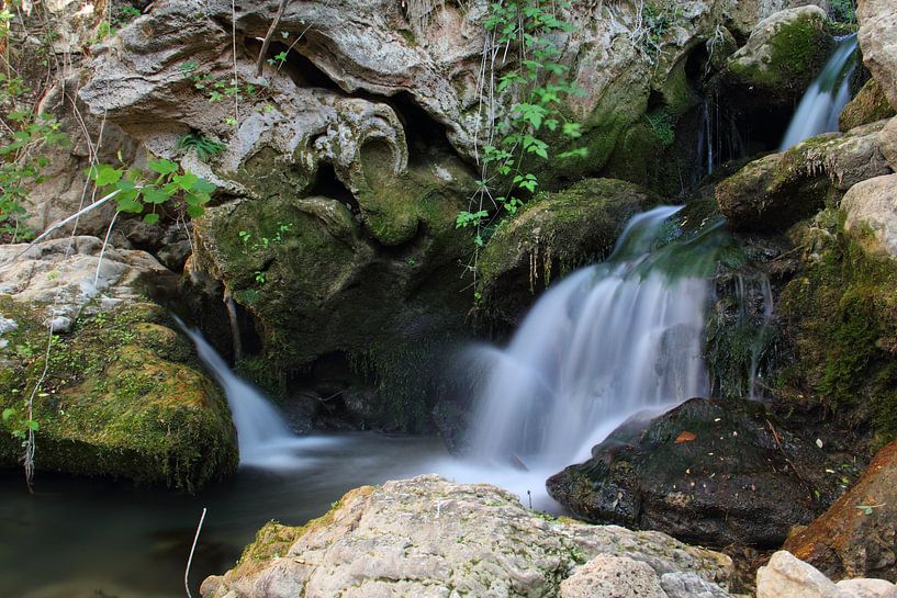 Oasis verte par Cornelis (Cees) Cornelissen