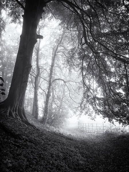Waldweg im Nebel von Paul Beentjes