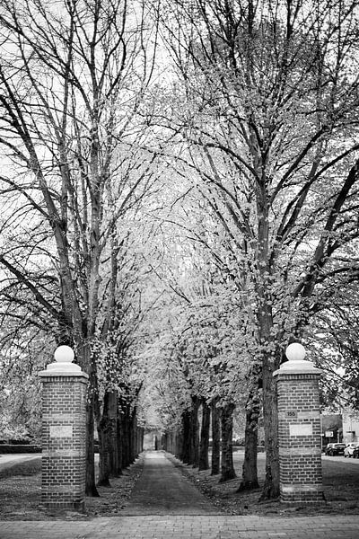 Ehemalige Zufahrt zum Gravenshof in Amby (Maastricht) von Streets of Maastricht