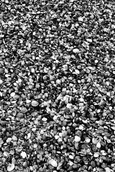 Sidney der Graf von Sidney Graf