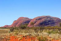 Outback Australien