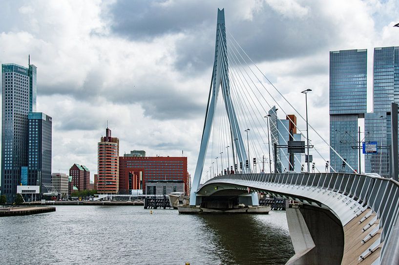 Beautiful Rotterdam by Cilia Brandts