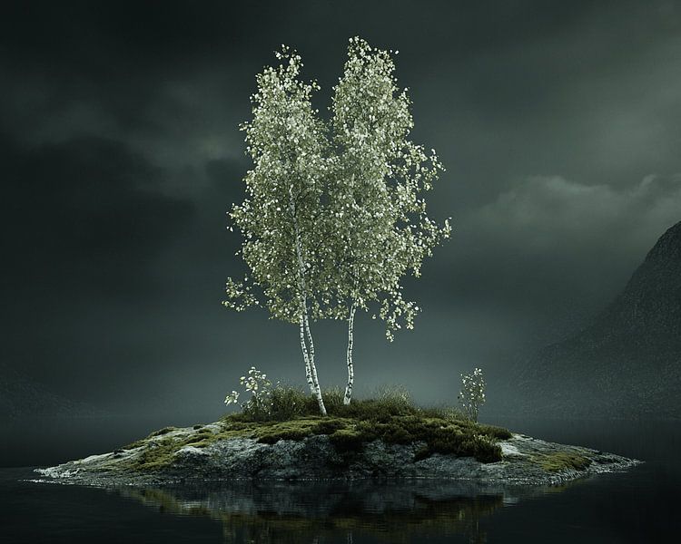 Birches in the Soft Light of the Moon by Karina Brouwer