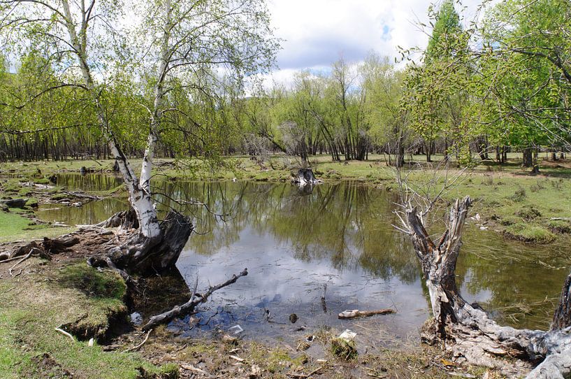 spieligingen by Robert Lotman