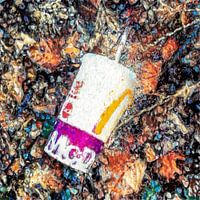 TRASHURES IN NATURE (2020-1)