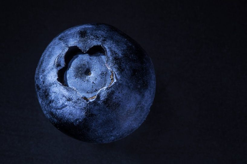 Planet Heidelbeere von Margit Houtman