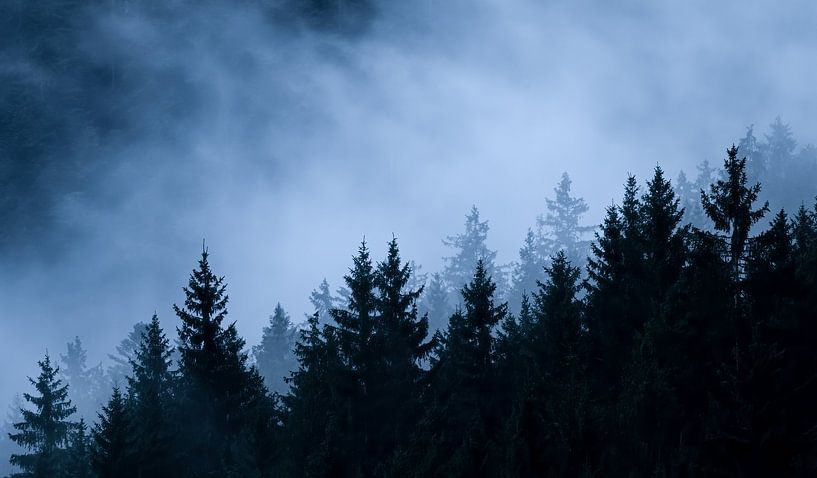 Black Forest evening mood by Guido de Kleijn