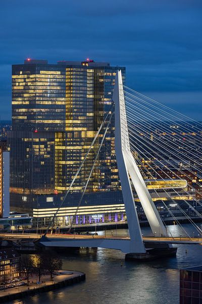 Pont Erasmus le soir par Prachtig Rotterdam