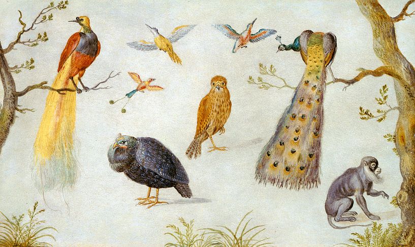 Etudes d'Oiseaux et Singes, Kreis von Jan van Kessel par Liszt Collection