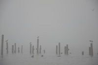 Mistige dag in Amsterdam