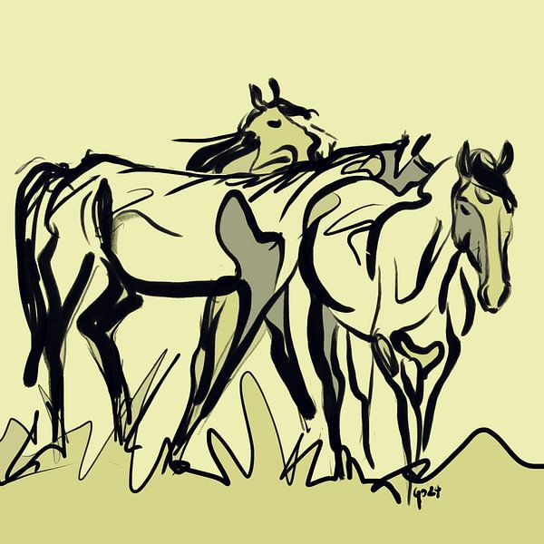 Pferde die Jährlinge von Go van Kampen