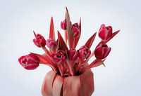Tulpen rosa rot