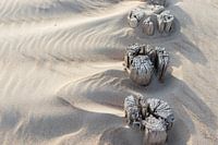 Drei Beiträge hintereinander