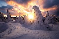 Dramatischer Sonnenaufgang auf dem Brocken im Winter