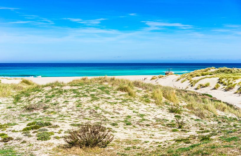Beau paysage de dunes sur la plage de Majorque Cala Mesquida, Espagne, mer Méditerranée, îles Baléar par Alex Winter