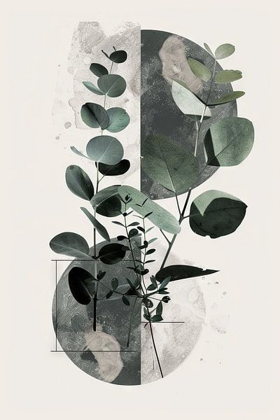 Eukalyptus &amp; Geometrie: Organische Symmetrie von Poster Art Shop