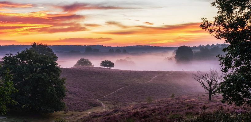 Morgenröte auf der Weide von Lars van de Goor