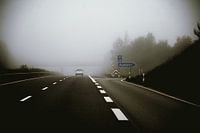 Winding Road in Foggy Forest