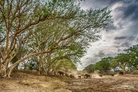Trockene Flussüberquerung
