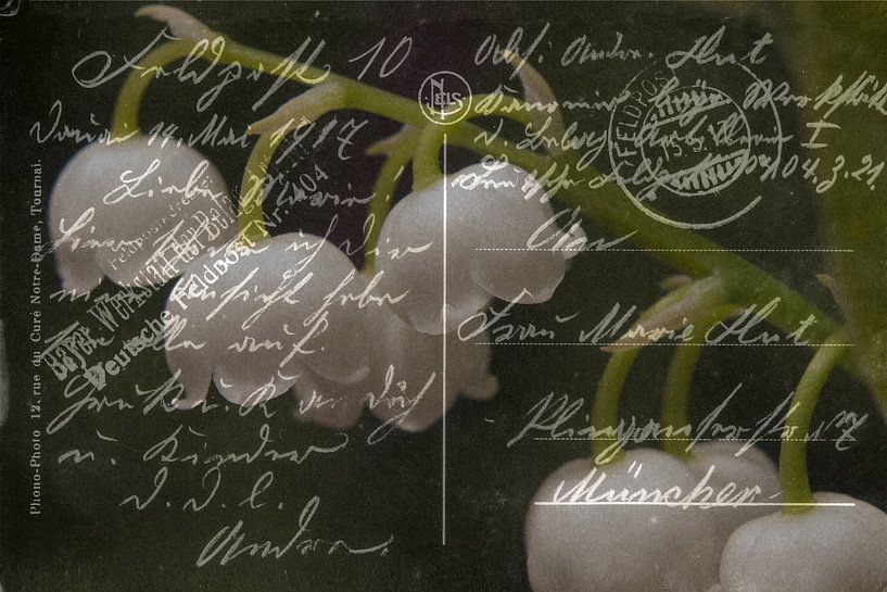 Feldpostkarte Mai 1917 von Christine Nöhmeier