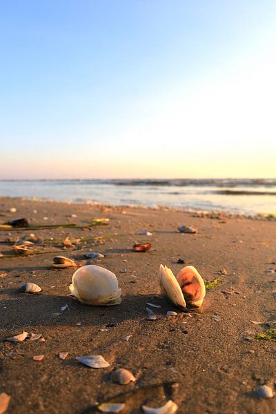 La mer Baltique au lever du soleil par Thomas Jäger