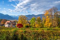 Herbstlandschaft in Munrau mit Blick zu den Alpen