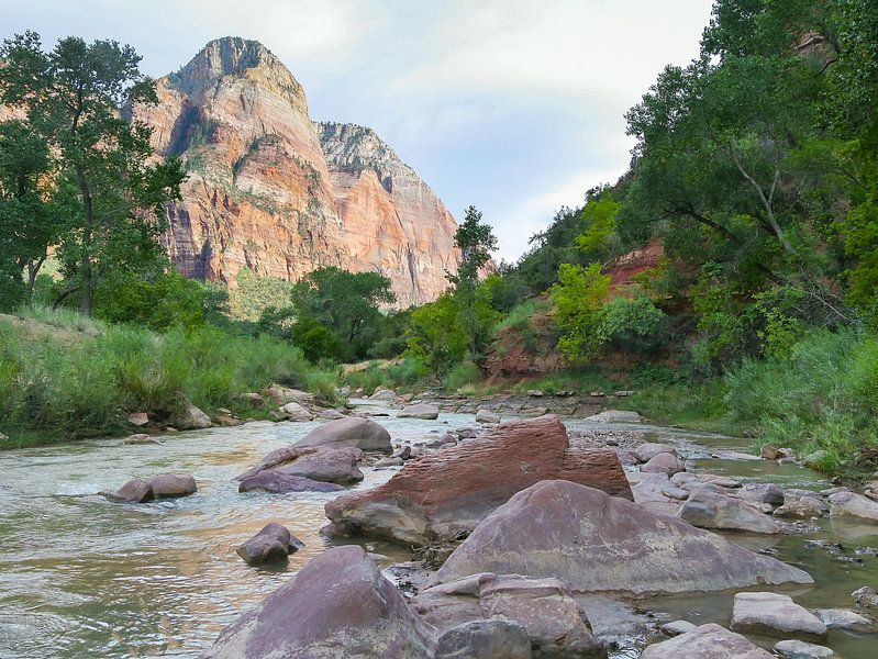 Im Virgin River im Zion-Nationalpark von Moniek van Rijbroek