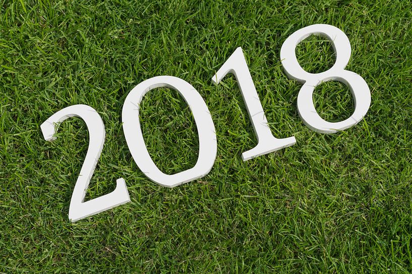 Cijfers tweeduizendachtien in een grasveld von Tonko Oosterink