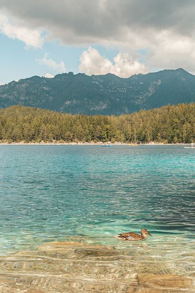 Canard solitaire sur l'Eibsee en Allemagne par Lizet Wesselman