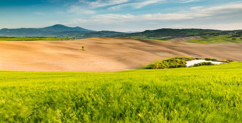 Landschap in Zuid Toscane / Val d'Orcia van Damien Franscoise